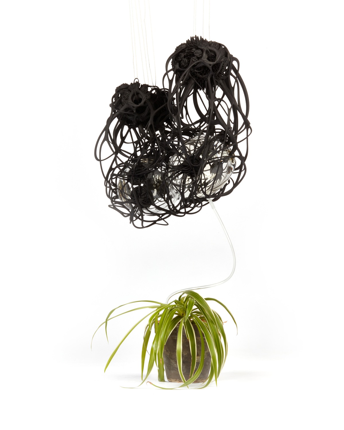 Tobias Klein and Jane Prophet, Common Datum, 2020, ProGlass blown, 3D printed black polymer (SLS), Calcium Chloride, Water. Photo credit: FONG Hin Nam.